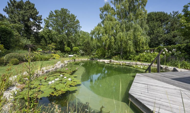 8 reasons why a natural pool is the better choice